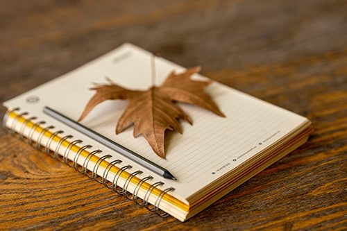 A notebook and freshly fallen autumn leaf