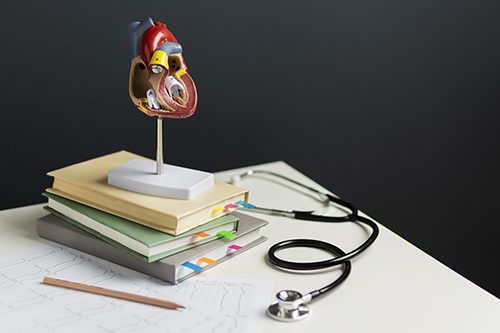 Iconic tools of the medical trade, books, test results, models, and of course a stethoscope