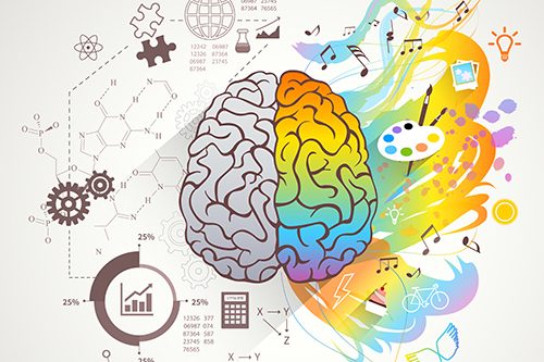 The specialization of left brain vs right brain functions