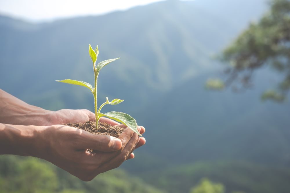 Let's understand the Interconnection of Biodiversity and Climate Change.