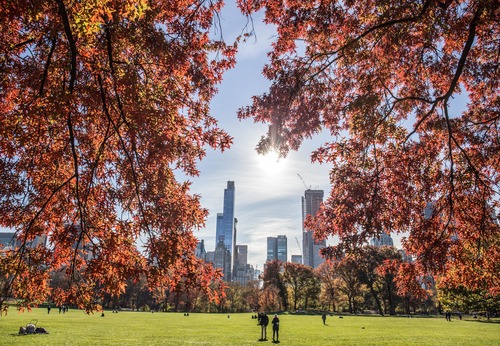 Wonderful view of a park with tall buildings