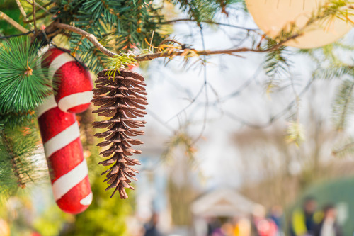 A candy cane hangs next to pinecone at the banff christmas market